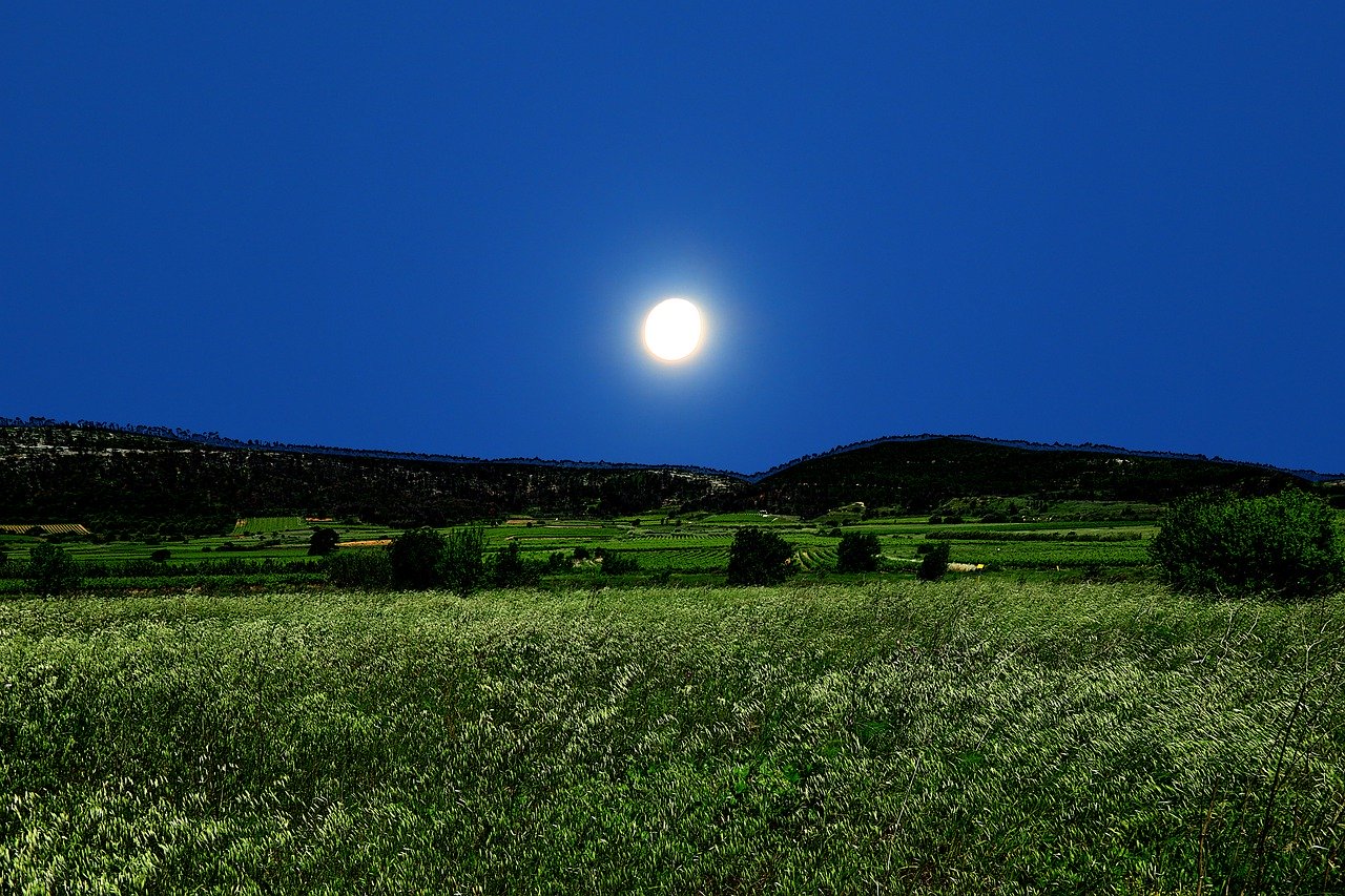 nature, night, moon