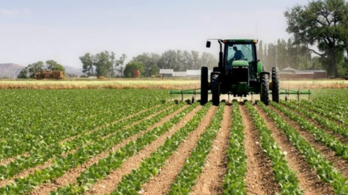 20200611144559_agro
