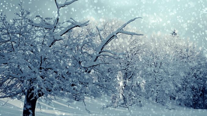 winter-1861704_960_720