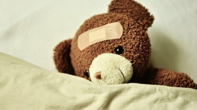 teddy-3183563_960_720