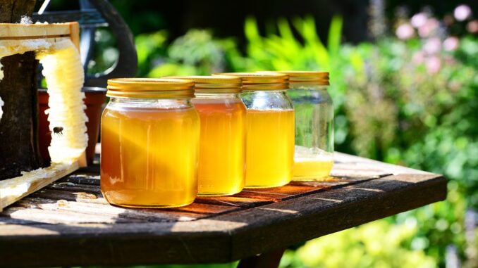 honey-352205_960_720
