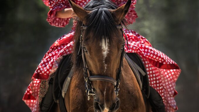 horse-1139142_960_720