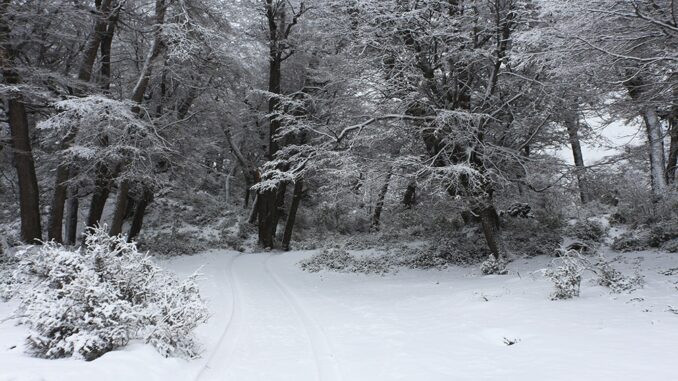 60f07559c337b_1004x565