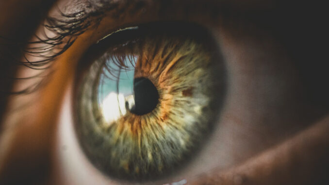100485_pexels-bruno-henrique-4526475-scaled