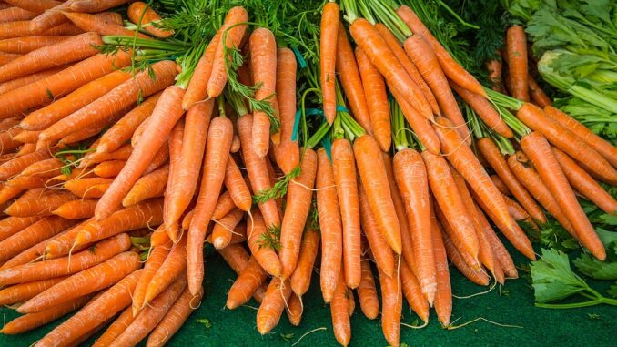 Zanahorias