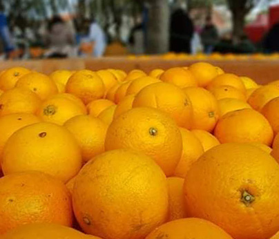 Fiesta de la Naranja 1