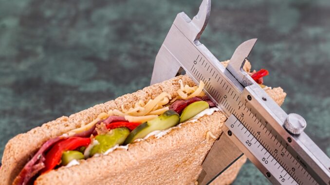 Sandwich Obesidad