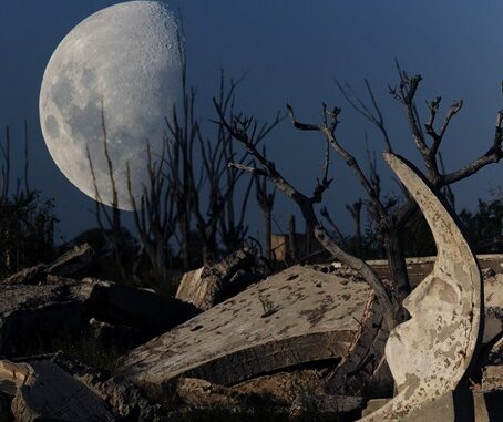 luna de epecuen - copia