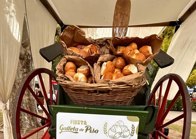 1742902366441-galleta de piso carro saladillo