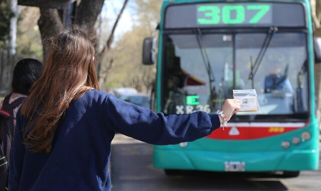 CON UNA INVERSIÓN DE $10.600 MILLONES, TRANSPORTE ACREDITÓ EL BOLETO UNIVERSITARIO 2025 PARA MÁS DE 300 MIL ESTUDIANTES2