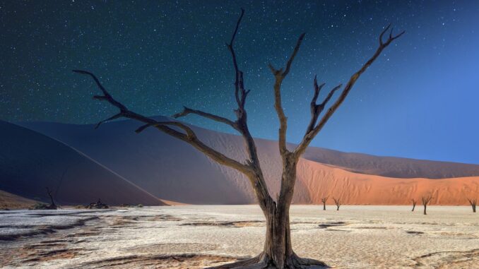 Desierto Sal