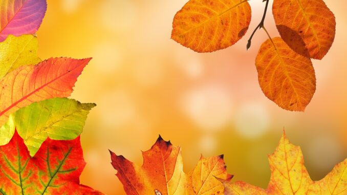 Otoño Pixabay
