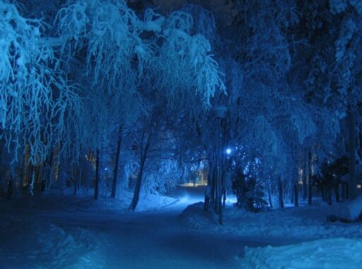 Invierno Naturaleza Pixabay
