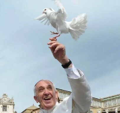 Papa Franciso Paloma