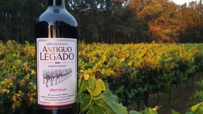 BODEGA ANTIGUO LEGADO