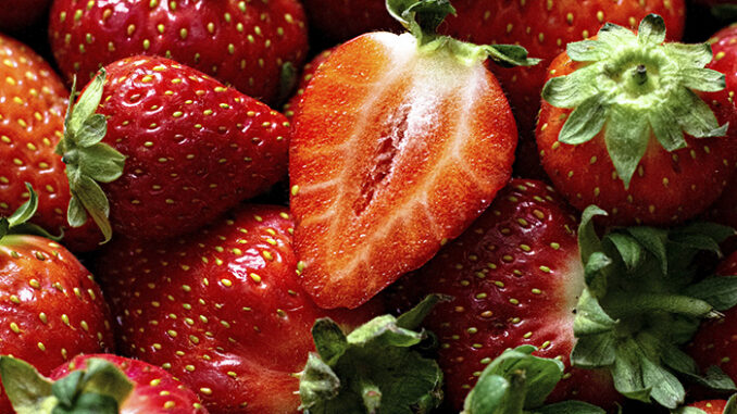 Red strawberry patterned background summer wallpaper